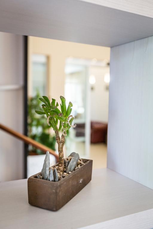 Hotel King Marina di Pietrasanta Zewnętrze zdjęcie